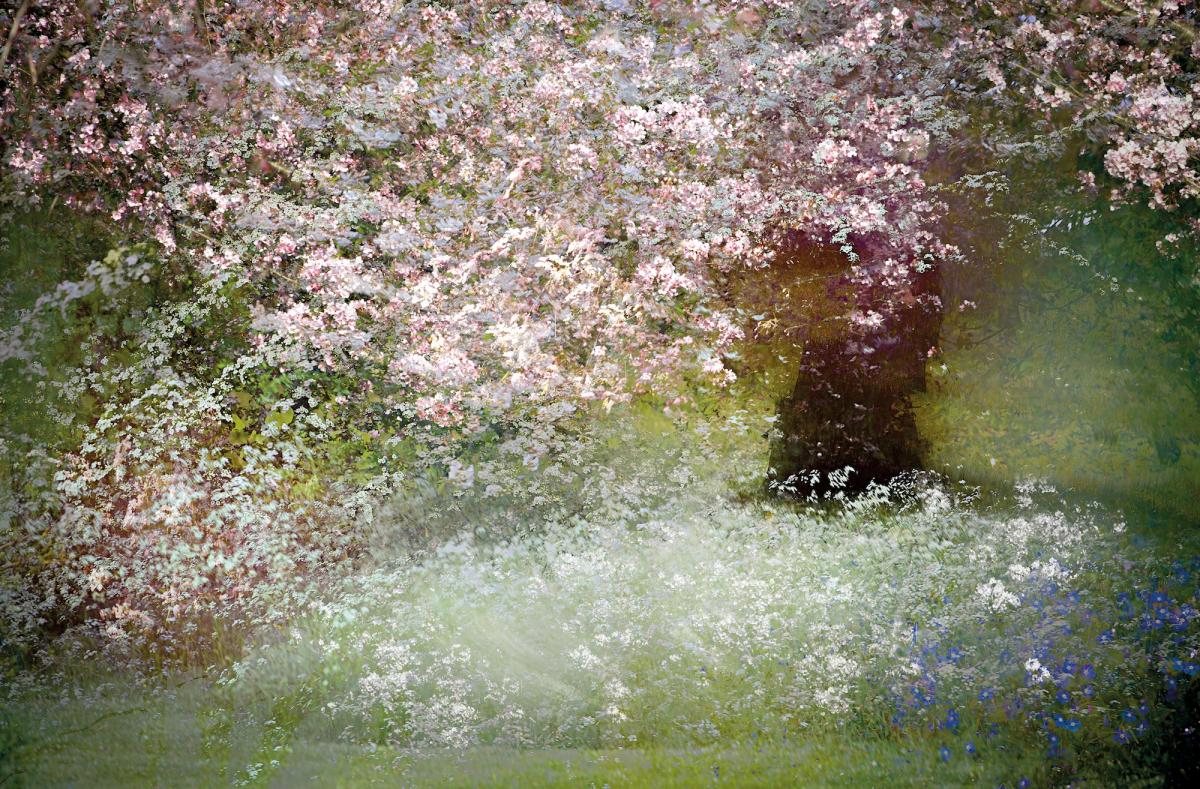 SPRING SHOOTS The Arts Society